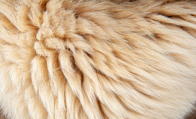 Beautiful spotted fur close-up. Texture of brown animal wool. Dog fur.