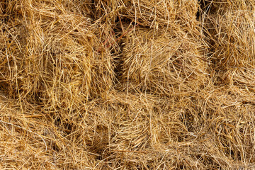 Dry hay for feed of farm animals stored in the barn on the farm.