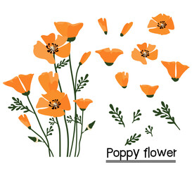 California poppy background.Eps 10 vector.