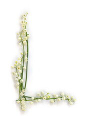 Letter L of white flowers Lily of the valley ( Convallaria ) on a white background. Top view, flat lay