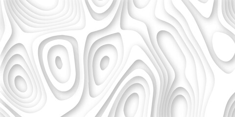 Abstract wavy line 3d paper cut white background. Topographic canyon geometric map relief texture with curved layers and shadow. Abstract realistic papercut decoration textured with wavy layers	

