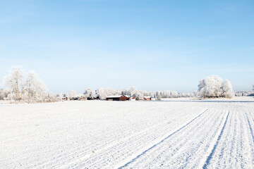 Wintry farm landscape in a frosty morning  - 563890887