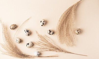 Natural beige spring, Easter background with dry herbs and quail eggs. Internet banner, minimal...
