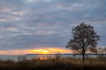 茨城県土浦市　霞ヶ浦総合公園の朝