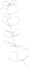 Eucalyptus branch. Pencil sketch.