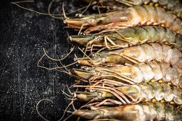 Fresh uncooked raw shrimp. On a black background.