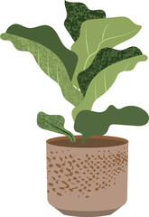 vector realistic detailed house or office plant for interior design and decoration.Tropical and Mediterranean plants for interior decor of home or office. for paper, cover, fabric, interior decor, and