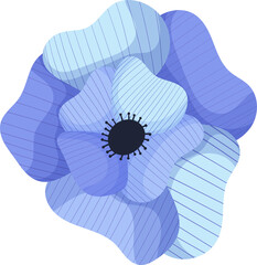 primrose blue
