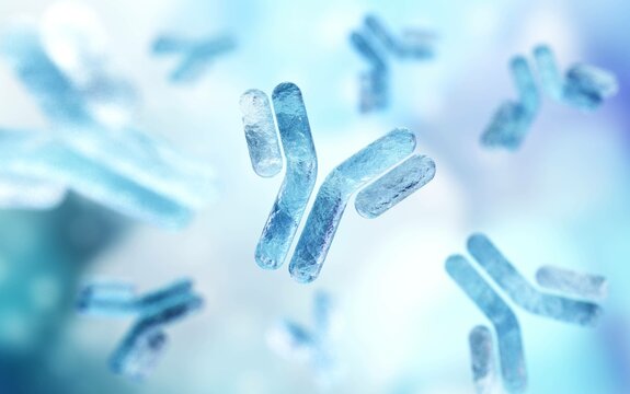 Antibodies, blood plasma globular proteins,  background antibodies, banner,  immunoglobulin, 3d rendering
