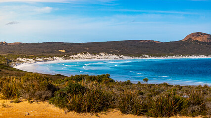Fototapeta na wymiar panorama of lucky bay beach in cape le grand national park, a paradisiacal beach with white sand and turquoise water surrounded by mighty hills