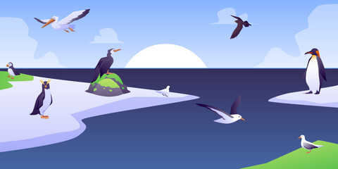 Various sea birds in Arctic on ice floe, flat vector illustration.