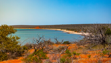 panorama of shark bay in francois peron national park near monkey mia in western australia; red cliffs over the ocean in the australian outback