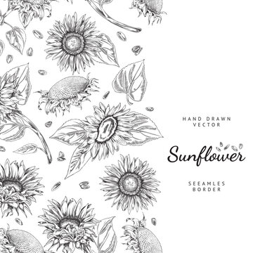 Seamless hand drawn border with sunflowers engraving vector illustration isolated.