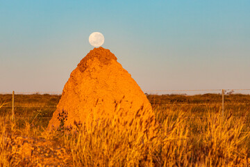The moon hiding behind the termite mound during sunset in the australian outback in western...