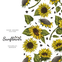 Sunflowers seamless border repeating in vertical vector illustration isolated.
