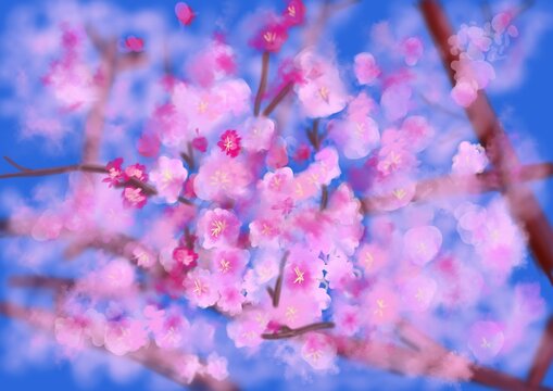 Pink cherry blossom celebrating onset on spring abstract digital painting