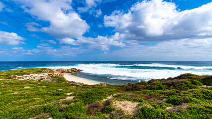 a panorama of paradise bay on rottnest island near perth in western australia; the beautiful bays and wild landscape of the island famous for its quokka