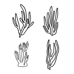 Marine Corals line art. Aquatic plants graphics. Coral and seaweed. Vector Hand Drawn. Vector illustrations are marine.