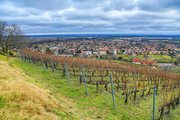 Fototapeta na wymiar Tokaj from Szerelmi vineyard (Tokaj Hill)