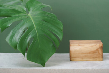 wood podium on table top green monstera tropical plant with space background.promotion beauty cosmetic and healthy natural product placement pedestal platform display,spring or summer advertising.