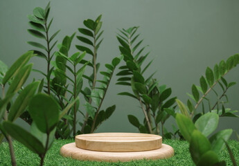empty table top wood counter podium on grass tropic forest jungle plant blurred dark green...