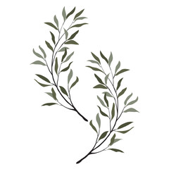 Olive Set of leave branch on PNG White transparent background Cover. Stock vector illustration 03