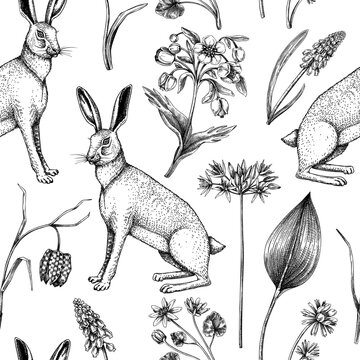 Hand-drawn hares background design. Vintage woodland flowers sketches. Seamless spring pattern. Forest plant and wild flowers illustration for print. Vintage animals decorative backdrop.