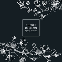 Cherry blossom card or invitation design. Flowering branch with flowers and leaves illustration. Black contoured sakura drawing. Botanical vector template with spring tree on chalkboard © sketched-graphics
