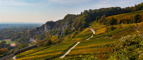 Weinberge Reben Winzer