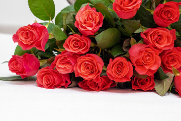 Red roses. A bouquet of red roses for congratulating on the holiday