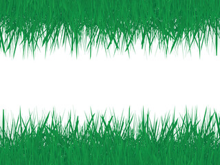 Green Grass Frame Isolated On White Background. Vector