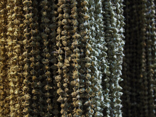 Dried okras on a string sold in the market