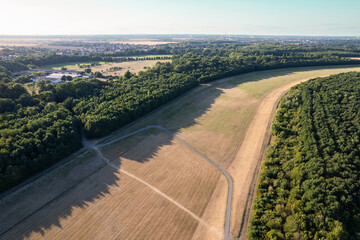 view of the field and trees from the drone at sunset