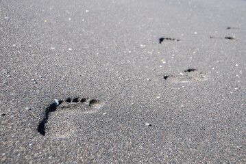 Fototapeta na wymiar Delicate footprints in the black sand