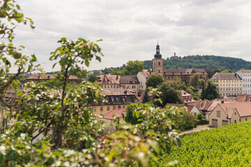 view of the old town in summer in germany