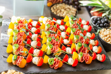 Large set of appetizers with cheese, cherry tomatoes, cucumber, salami and microgreens.