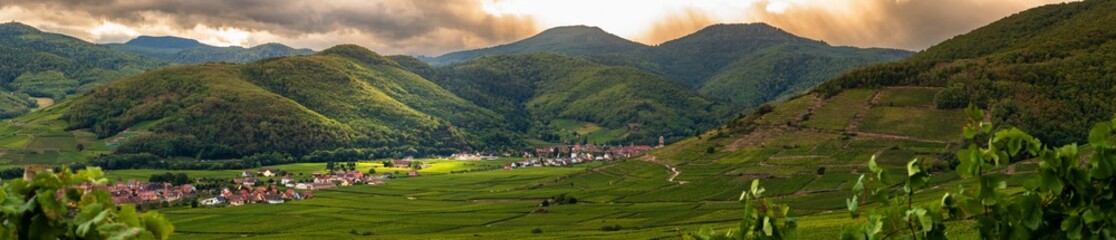 L'entrée de la vallée de la Weiss à l’approche des vendanges, Kaysersberg vignoble, Alsace, CEA, Vosges alsacienne, Grand Est, France