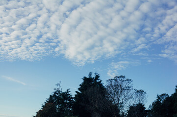 Awan Altocumulus clouds on blue sky in a highland in a morning