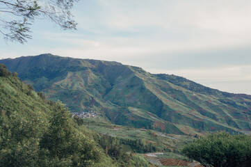 Scenery of green fertile plantation farmland crop terrace in Dieng plateau, Banjarnegara, Indonesia.