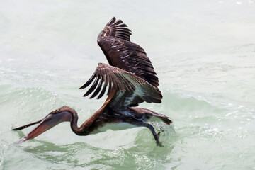 Impressions of Yucatan in Mexico