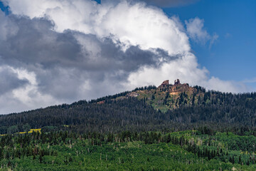 landscape in the summer