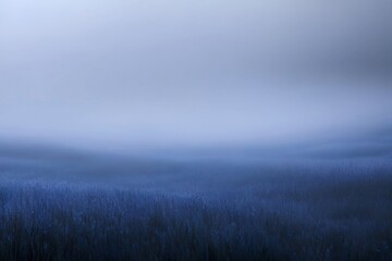 Obraz na płótnie Canvas fog in the field background,dark blue