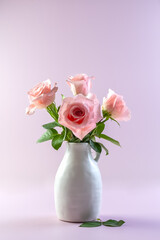 Pink roses in a white ceramic vase on a purple background. Card. Copy space. Photo