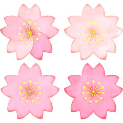 シンプルな桜の花。水彩風イラストセット。