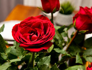 Red roses in the interior for Valentine's Day