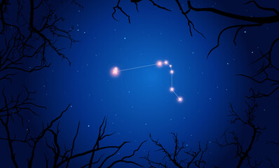 Illustration  of Horologium constellation. Bright constellation in open space, blue sky. Starry sky behind tree silhouette