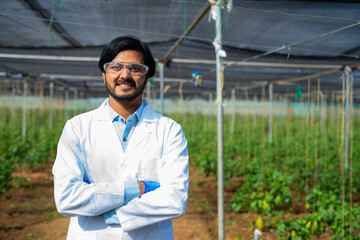 Confident agro scientist standing with crossed arms by looking at camera at greenhouse - concept of...