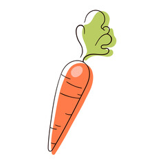 Carrot line drawing. Flat illustration of Carrot vector icon isolated on white background.