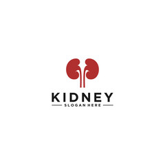 kidney logo template in white background