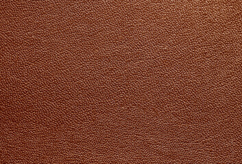 Beautiful bright eco-leather, animal skin texture in brown color, close-up as a background.